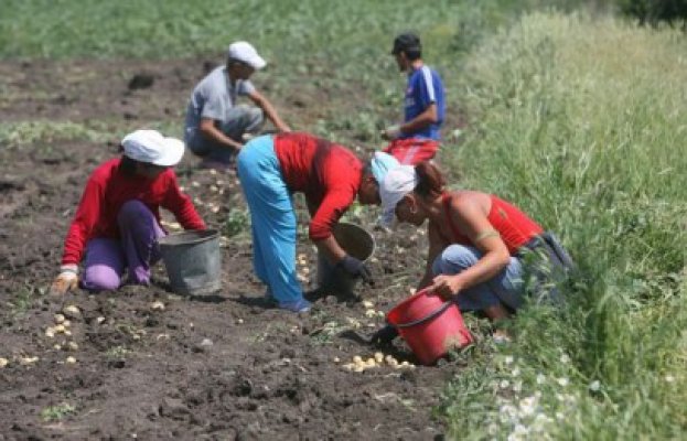 Zilierii vor plăti 16% impozit pe venit